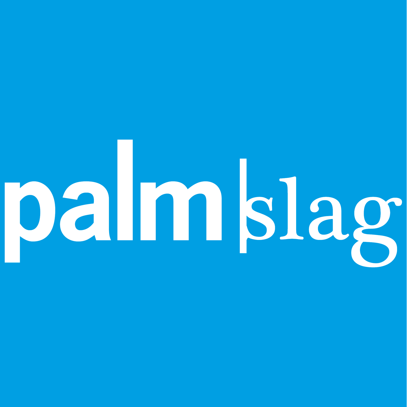 Logo Palmslag